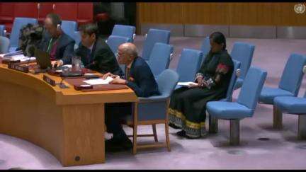 India Condemns Pakistan at UNSC for Sponsoring Terrorism Across Borders