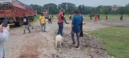 আলিপুরদুয়ার ১: আলিপুরদুয়ার প্যারেড গ্রাউন্ডে স্নিফার ডগা দিয়ে তল্লাশি চালানো হচ্ছে প্রশাসনের পক্ষ থেকে