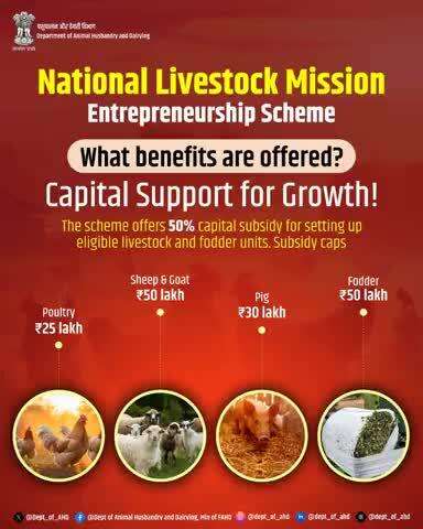 NLM Scheme: Boost Your Livestock Business!
Get up to 50% subsidy on:
🐔 Poultry ₹25L | 🐐 Goat ₹50L | 🐖 Pig ₹30L | 🌿  Fodder ₹50L
Start today!
#NLM #LivestockStartup #AatmaNirbharKisan