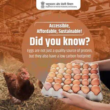 Eggs: Healthy for You, Gentle on the Planet!
Packed with protein and low in carbon footprint — eggs are a smart, sustainable choice!