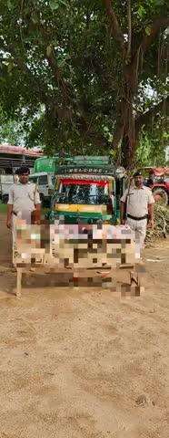 दिनांक 24.05.2025 को 01 टेम्पू से कुल  93 लीटर विदेशी शराब  जप्त कर अभियुक्त की गिरफ़्तारी हेतु छापामारी की जा रही है ।