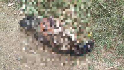 जसराना: नगला जाट में एक आरोपी ने गुलेल से मोर की हत्या की
