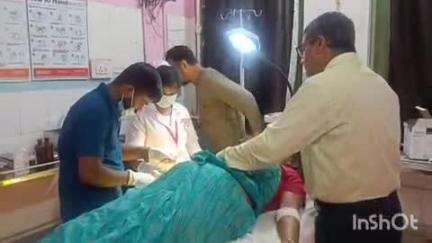 बांका: बाबुटोला मोहल्ले में गाय के हमले से वृद्ध महिला जख्मी, अस्पताल में भर्ती
