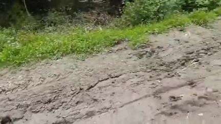 উত্তৰ লক্ষীমপুৰ: পূৱ তেলাহীৰ ন-আলি গাঁৱত পথৰ বিধস্ত ৰূপ,যাতায়তৰ ক্ষেত্ৰত সমস্যা প্ৰায় ৫ খন গাঁৱৰ ৰাইজৰ #jansamasya