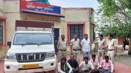 बहोरीबंद: बहोरीबंद से चोरी हुई चार भैंसों सहित पांच चोर पुलिस द्वारा गिरफ्तार, भेजे गए जेल