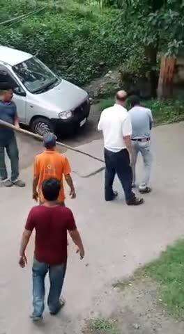 बाघमारा/कतरास: कतरास: रसना बार स्टूडेंट के मालिक मानसिंह के घर मिला जहरीला सांप, किया गया रेस्क्यू