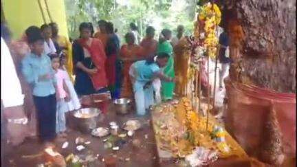 கே.வி.குப்பம்: காங்குப்பம் கிராமத்தில் வெகு விமர்சையாக நடைபெற்ற கெங்கை அம்மன் சிரசு திருவிழா