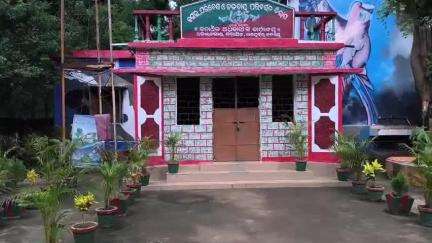 ତେଲକୋଇ: ଜଗମୋହନପୂର, ରୁଗୁଡ଼ି, କାକୁଡ଼ିଅମ୍ବା ଅଞ୍ଚଳରେ ପଲୁଆ ହାତୀ ଥିବା ନେଇ ବନବିଭାଗର ସୂଚନା l