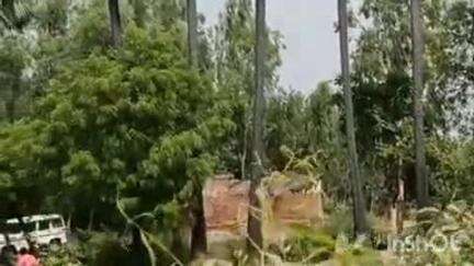 बांगरमऊ: बांगरमऊ में तेज तर्रार आबकारी अधिकारी ने की बड़ी कार्रवाई, 100 लीटर ताड़ी नष्ट की गई, सैकड़ों ताड़ के पेड़ काटे गए