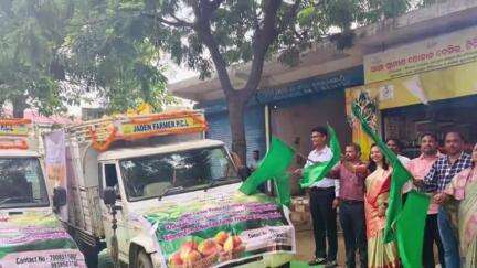 ବଲାଙ୍ଗୀର: ଲଣ୍ଡନ ସହରକୁ ପଠାଗଲା ବଲାଙ୍ଗିରର ଆମ୍ବ
