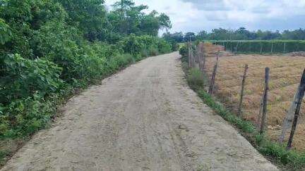 নারায়ণগড়: নারায়ণগড় ব্লকের একাধিক এলাকায় ধান কাটা গাড়ি গিয়ে মাটি পড়ার জন্য রাস্তা বেহাল, ঘটতে পারে দুর্ঘটনা #jansamsya