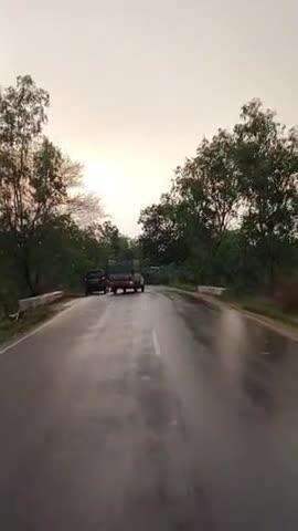 છોટાઉદેપુર થી પાનવડ જતાં રસ્તા પર વૃષો ધરાશાય 💀
