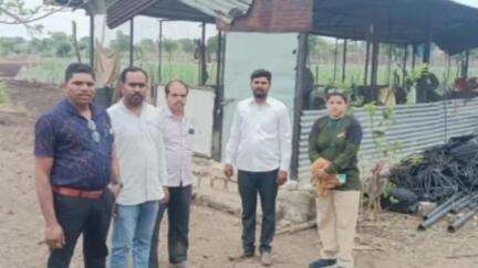 चिखली: वैरागड शिवारात बिबट्याने केला 40 कोंबड्याचा फडशा