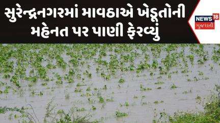 Surendranagar Farmers | સુરેન્દ્રનગરમાં માવઠાએ ખેડૂતોની મહેનત પર પાણી ફેરવ્યું | News18 Gujarati