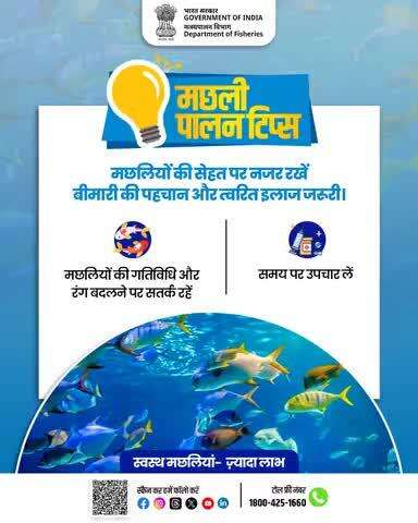 मछलियों की सेहत पर सतत निगरानी अत्यंत आवश्यक है। गतिविधियों व रंग में परिवर्तन रोग का संकेत हो सकता है। बीमारी की शीघ्र पहचान व समय पर उपचार से उत्पादन में वृद्धि संभव है।

#FishHealth #Aquaculture #FishFarming
