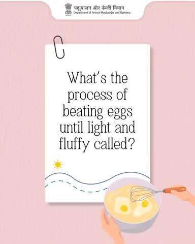 Quiz Time! 
What’s the process of beating eggs until they become light and fluffy called? 
This technique is a key step in baking and helps create that perfect airy texture in your favorite treats!