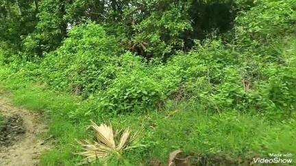 గజపతినగరం: మదనాపురం లో స్మశానవాటికకు రోడ్డు, బోరు, షెడ్ సౌకర్యం లేక తీవ్ర ఇబ్బంది పడుతున్న గ్రామస్తులు  #localissue