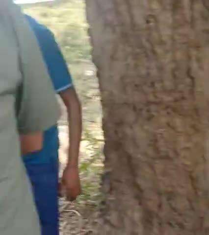 बीघापुर: बहुराजमऊ के पास प्राइवेट एंबुलेंस दीवार से टकराई, चालक को आई थी झपकी