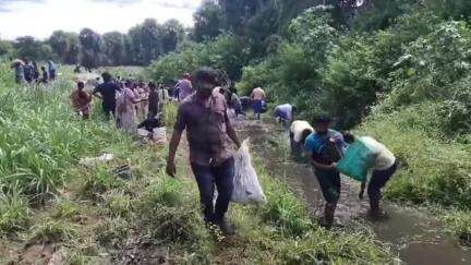 மேட்டூர்: மேட்டூர் காவிரி நீர் பிடிப்பு பகுதிகளில் மீன்கள் செத்து மிதப்பதால் பொதுமக்கள் கூடை கூடையாக மீன்களை அள்ளிச் சென்றனர்