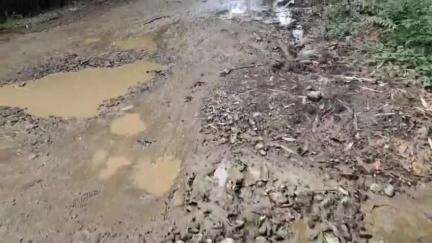 সোণাৰি: নগা আলিৰ একাংশ জৰাজীৰ্ণ পথ নিৰ্মাণৰ সোণাৰিত দাবী জনালে কৃষক শ্ৰমিক সুৰক্ষা সংগ্ৰাম সমিতিৰ জিলা সম্পাদকে