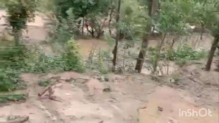 कंडाघाट: नैन गांव में किसानों के खेतों में घुसा मालगा, सड़क निर्माण के दौरान निकला मलबा, फसलों को हुआ नुकसान