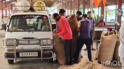 વ્યારા: વ્યારા માર્કેટ યાર્ડ ખાતે વરસાદની આગાહી વચ્ચે શાકભાજી પાકો માટે તૈયારી કરી દેવામાં આવતા ખેડૂતોને રાહત.