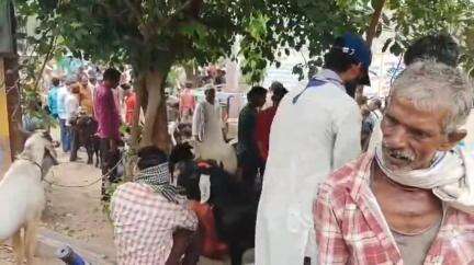 बासोदा: ईद को लेकर बासौदा बाजार में बकरों की बड़ी आवक, ₹10000 से ₹50000 तक बिक रहे बकरे