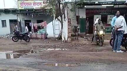 बहोरीबंद: बाकल क्षेत्र में गांव-गांव पहुंच रही शराब की खेप, वीडियो हो रहा वायरल