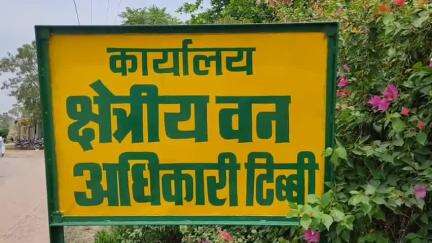 टिब्बी: हरियालो राजस्थान अभियान की तैयारियां जोरों पर, टिब्बी रेंज में 1.85 लाख पौधे लगाने का रखा गया लक्ष्य