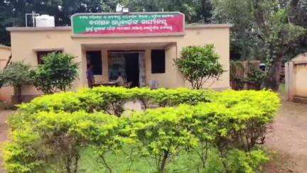 ତେଲକୋଇ: ତେଲକୋଇ ରେଞ୍ଜ ରେ ପୁଣି ହାତୀ ମୃତ୍ୟୁ।ତାଳପଦା ଫରେଷ୍ଟ ବିଟ୍  ତମାଙ୍ଗ ଗାଁ ନିକଟ ପାହାଡ଼ ରେ  ପଡିଛି ହାତୀ ର ମୃତ ଶରୀର