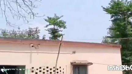 चौसा: चौसा थाना परिसर में बकरीद त्यौहार को लेकर 31 मई को होगी शांति समिति की महत्वपूर्ण बैठक
