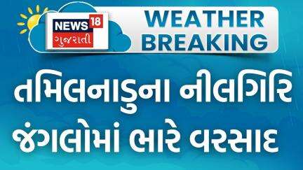 Heavy Rainfall in Nilgiri Jungle | તમિલનાડુના નીલગિરિ જંગલોમાં ભારે વરસાદ | Tamil Nadu | News18