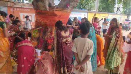 चंडी: चंडी प्रखंड में अमावस्या पर वट सावित्री व्रत रखकर सुहागिन महिलाओं ने पति की दीर्घायु की कामना की