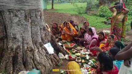 पालकोट टेगारिया सावित्री व्रत तेरे को सुहागन महिलाएं अपने।पति।। लम्बी। लंबी जीवन दान के लिए यह बात किया जाता है