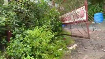 குன்னூர்: பெய்து வரும் கனமழை காரணமாக கேத்தி காவல் நிலையம் மீது மரம் விழுந்து பாதிப்பு