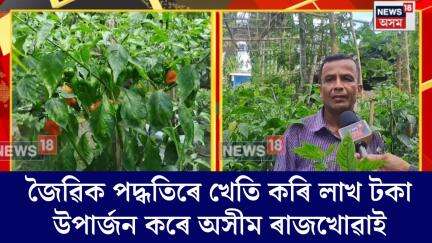 Gohpur News। জৈৱিক পদ্ধতিৰে  খেতি কৰি লাখ লাখ টকা উপাৰ্জন কৰে অসীম ৰাজখোৱাই। N18V
