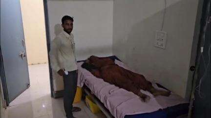 मोठ: शाहजहांपुर थाना क्षेत्र में दबंगों ने सास-बहू को दौड़ा-दौड़ाकर पीटा