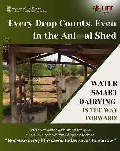 Water-smart farming is no longer a choice for the future — it’s a necessity for today.
By using smart water troughs, clean-in-place milking systems, and growing water-efficient green fodder, we can reduce water use in dairying.