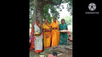 पदमा: पदमा में सुहागिन महिलाओं ने वट सावित्री पूजा की, पति की दीर्घायु की कामना की