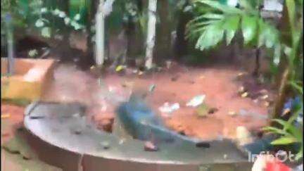 കൊണ്ടോട്ടി: വാഴക്കാട് മപ്രത്ത് കനത്ത മഴയിൽ വീട്ടിലെ കിണർ ഇടിഞ്ഞ് താഴ്ന്നു