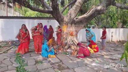 विदिशा नगर: अमावस्या के अवसर पर आज देशभर में हुई वटवृक्ष की पूजा