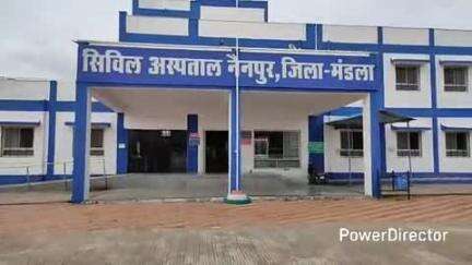 नैनपुर: क्षेत्र में सर्पदंश से एक दिन में एक महिला और एक बच्ची की मौत
