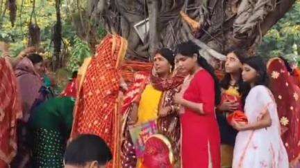 गोमिया: गोमिया में सुहागिन महिलाओं ने की वट सावित्री की पूजा, उमड़ी श्रद्धालुओं की भीड़