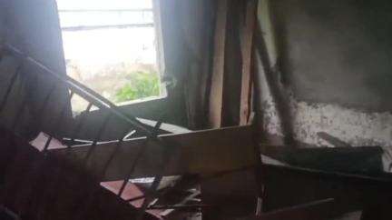 ধূপগুড়ি: মিডডে মিলের লোভে  বামনডাঙ্গা চাবাগানে তান্ডব চালিয়ে  টন্ডু টিজি ৩নং প্রাইমারি স্কুল লণ্ডভণ্ড করে দিল বুনো হাতির দল