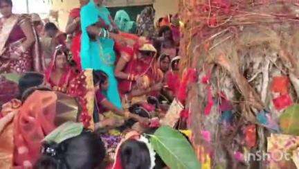 नवा बाज़ार: नावा बाजार में सुहागिनों ने वट वृक्ष की पूजा की