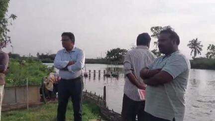 విస్సన్నపేట మండలం చుండ్రుపట్లలో చేపల చెరువులను పరిశీలించిన జిల్లా మత్స్యశాఖ అధికారులు