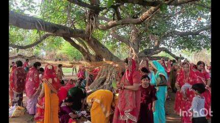 भवनाथपुर: भवनाथपुर में वट सावित्री व्रत श्रद्धा और आस्था के साथ मनाया गया