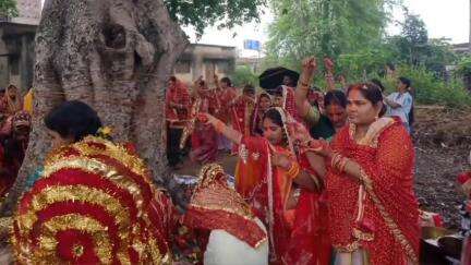 कैरो: कैरों प्रखंड में वट सावित्री व्रत विधि-विधान से मनाया गया, सुहागिन महिलाओं ने पति की लंबी उम्र की कामना की