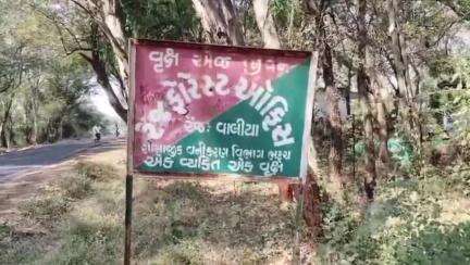 વાલિયા: વાલિયા-દેસાડ ગામની સીમમાં દીપડો દેખાતા ખેડૂતો ભયભીત બન્યા છે.