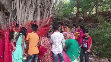धरहरा: सुहागिन महिलाओं ने वट सावित्री पूजा की, 16 श्रृंगार कर अखंड सौभाग्यवती होने का वरदान मांगा